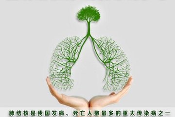 研究發(fā)現(xiàn)結(jié)核病通過使用宿主系統(tǒng)對抗自身而存活下來