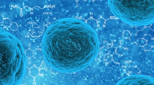 腫瘤學(xué)家在癌癥免疫治療方面取得了巨大成功