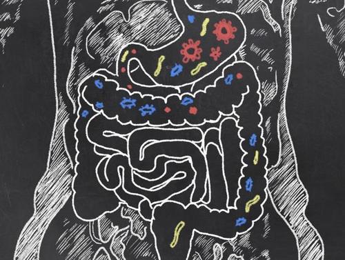 腸道微生物與黑色素瘤患者的免疫治療反應(yīng)有關(guān)