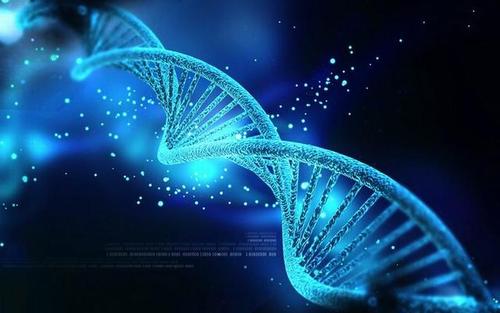 科學家發(fā)現(xiàn)基因與運動能力之間的聯(lián)系