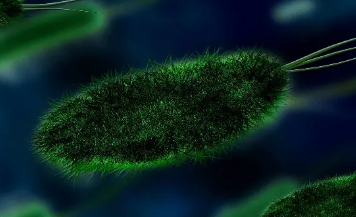 腸道微生物組和帕金森氏病之間的生物學聯(lián)系