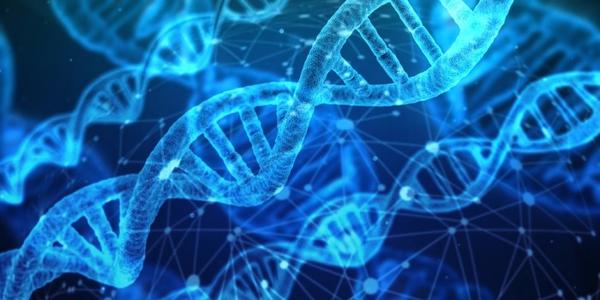 基因位置會導致錯誤的大腦布線從而影響學習和記憶