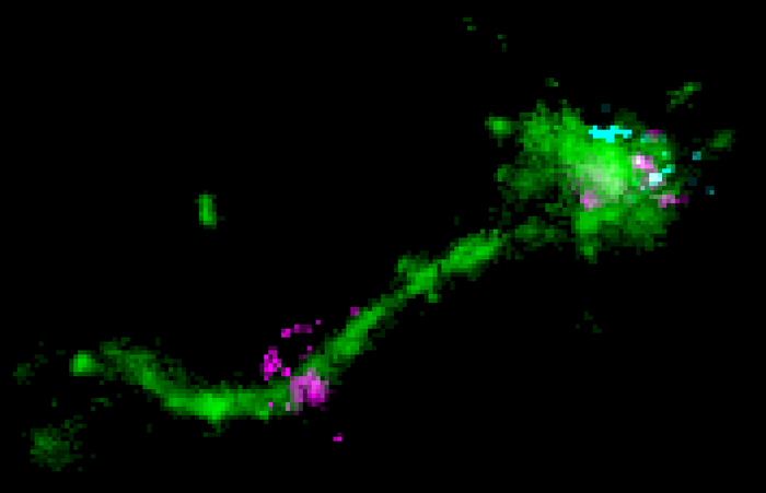 如何將 mRNA 療法遞送到細(xì)胞中