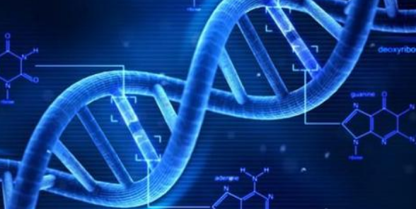 DNA 損傷如何導(dǎo)致神經(jīng)退行性疾病