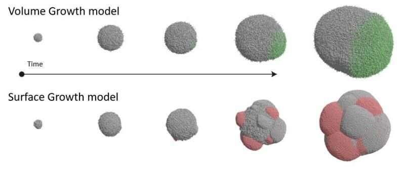 科學(xué)家發(fā)現(xiàn)腫瘤的生長方式會影響他們的基因