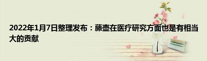 2022年1月7日整理發(fā)布：藤壺在醫(yī)療研究方面也是有相當大的貢獻