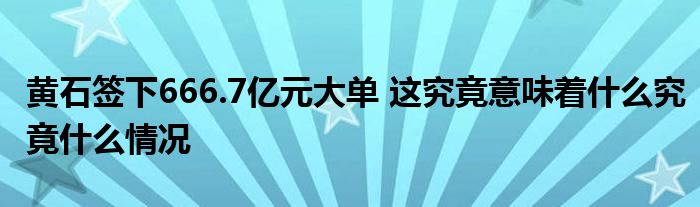 黃石簽下666.7億元大單 這究竟意味著什么究竟什么情況