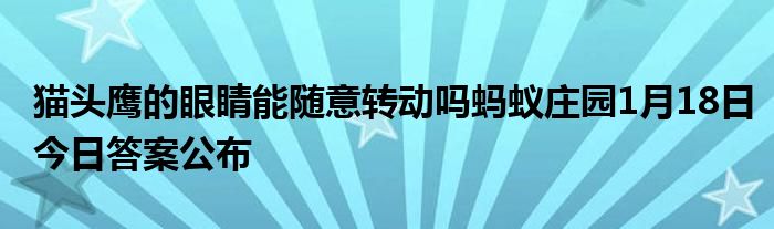 貓頭鷹的眼睛能隨意轉(zhuǎn)動(dòng)嗎螞蟻莊園1月18日今日答案公布