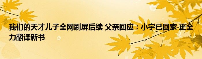 我們的天才兒子全網(wǎng)刷屏后續(xù) 父親回應(yīng)：小宇已回家 正全力翻譯新書