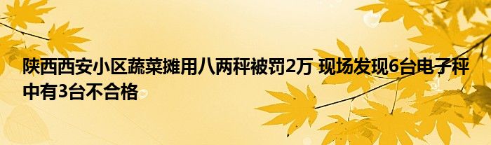 陜西西安小區(qū)蔬菜攤用八兩秤被罰2萬 現(xiàn)場(chǎng)發(fā)現(xiàn)6臺(tái)電子秤中有3臺(tái)不合格