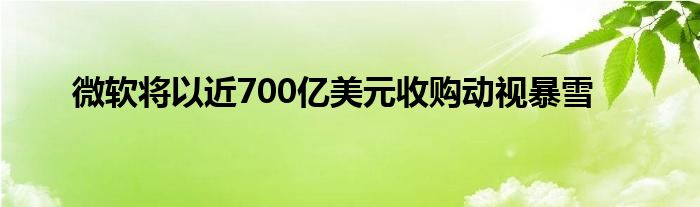 微軟將以近700億美元收購動視暴雪