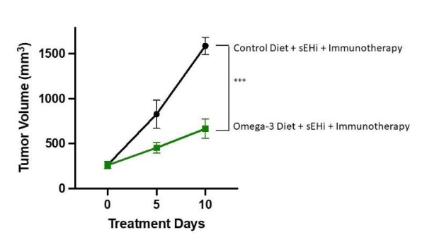 Omega-3可以增強免疫療法的抗癌能力