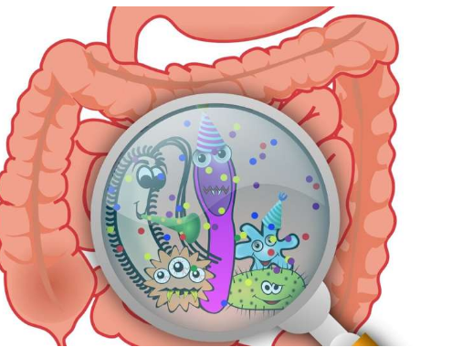 一些腸道病毒促進腸道健康 而另一些則會導致炎癥性腸病