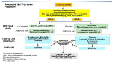 新研究概述了腸易激綜合征 (IBS) 患者的藥物治療計(jì)劃