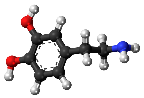 研究表明用于測(cè)量多巴胺和血清素的神經(jīng)外科手術(shù)是安全的