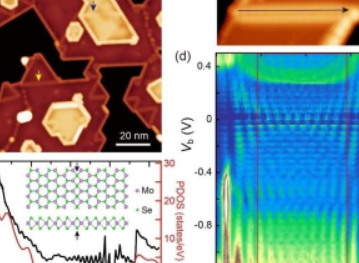 在MoSe?的鏡面孿晶界發(fā)現(xiàn)了Hubbard型庫侖阻塞效應