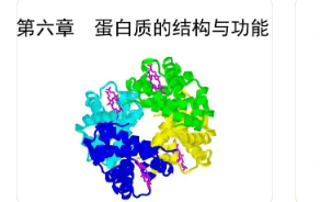 蛋白質(zhì)組學(xué)方法有助于識別可以改善前驅(qū)糖尿病檢測的蛋白質(zhì)特征