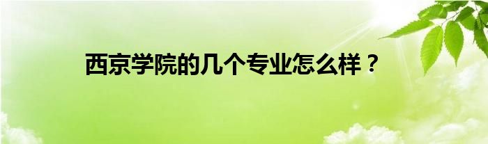 西京學(xué)院的幾個(gè)專業(yè)怎么樣？