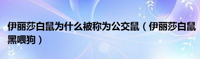 伊麗莎白鼠為什么被稱為公交鼠（伊麗莎白鼠黑喂狗）