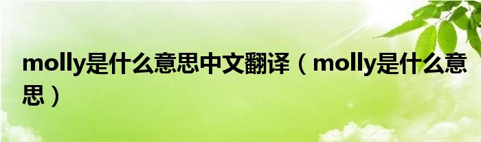 molly是什么意思中文翻譯（molly是什么意思）