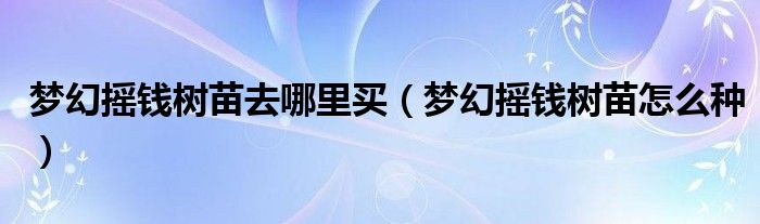 夢(mèng)幻搖錢樹苗去哪里買（夢(mèng)幻搖錢樹苗怎么種）