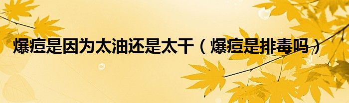 爆痘是因?yàn)樘瓦€是太干（爆痘是排毒嗎）