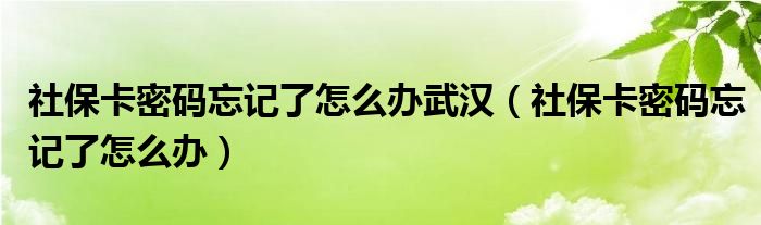 社保卡密碼忘記了怎么辦武漢（社?？艽a忘記了怎么辦）