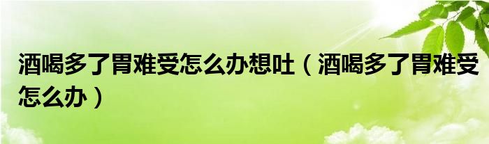 酒喝多了胃難受怎么辦想吐（酒喝多了胃難受怎么辦）