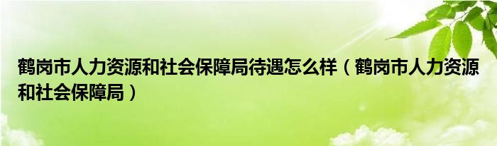 鶴崗市人力資源和社會(huì)保障局待遇怎么樣（鶴崗市人力資源和社會(huì)保障局）