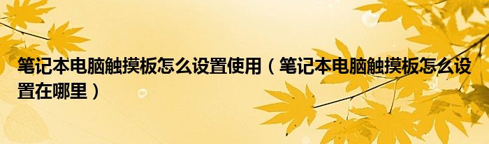 筆記本電腦觸摸板怎么設(shè)置使用（筆記本電腦觸摸板怎么設(shè)置在哪里）