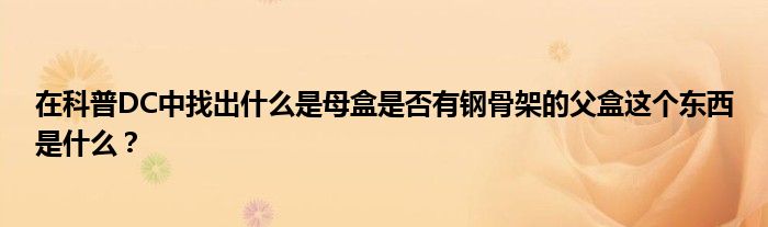 在科普DC中找出什么是母盒是否有鋼骨架的父盒這個(gè)東西是什么？