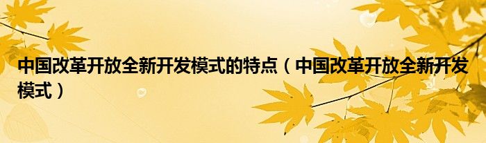 中國改革開放全新開發(fā)模式的特點（中國改革開放全新開發(fā)模式）