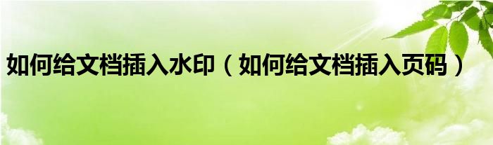 如何給文檔插入水?。ㄈ绾谓o文檔插入頁(yè)碼）