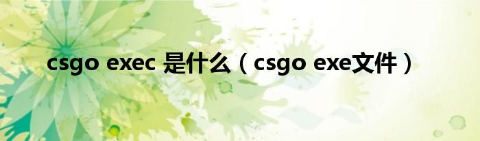 csgo exec 是什么（csgo exe文件）