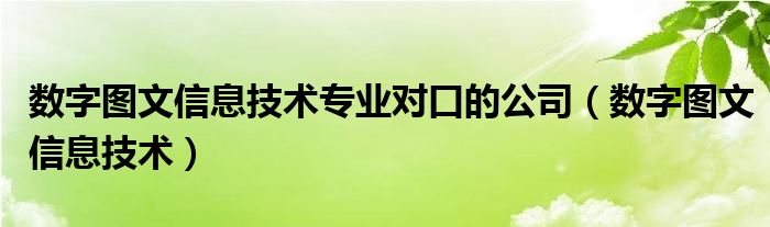 數(shù)字圖文信息技術(shù)專業(yè)對口的公司（數(shù)字圖文信息技術(shù)）