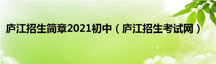 廬江招生簡(jiǎn)章2021初中（廬江招生考試網(wǎng)）