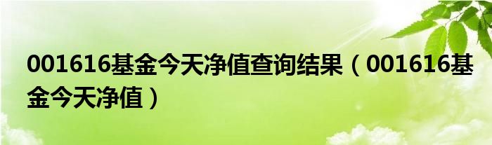 001616基金今天凈值查詢結(jié)果（001616基金今天凈值）