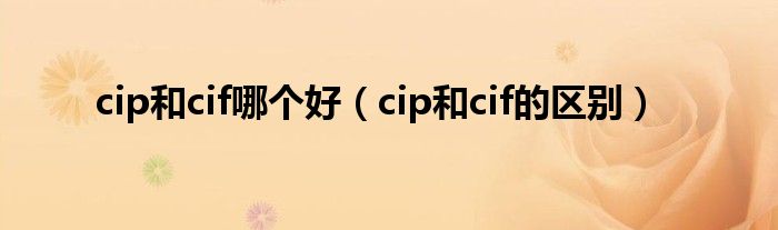 cip和cif哪個(gè)好（cip和cif的區(qū)別）