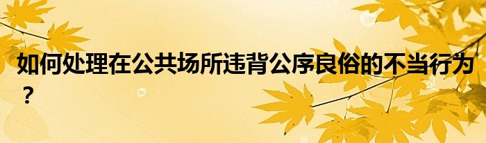 如何處理在公共場所違背公序良俗的不當(dāng)行為？