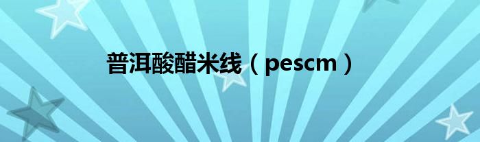 普洱酸醋米線（pescm）