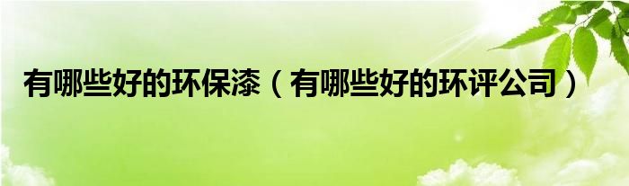 有哪些好的環(huán)保漆（有哪些好的環(huán)評公司）