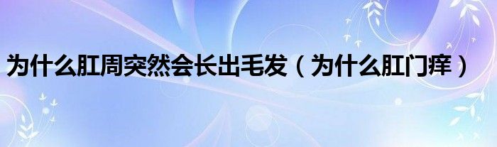 為什么肛周突然會(huì)長(zhǎng)出毛發(fā)（為什么肛門(mén)癢）