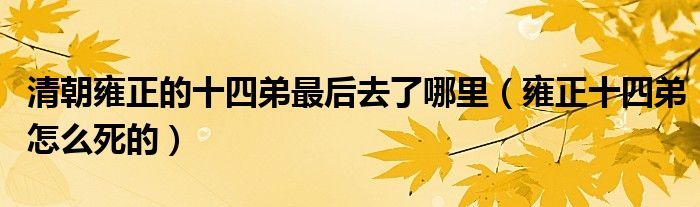 清朝雍正的十四弟最后去了哪里（雍正十四弟怎么死的）