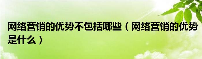 網(wǎng)絡營銷的優(yōu)勢不包括哪些（網(wǎng)絡營銷的優(yōu)勢是什么）