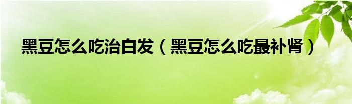 黑豆怎么吃治白發(fā)（黑豆怎么吃最補(bǔ)腎）