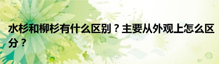 水杉和柳杉有什么區(qū)別？主要從外觀上怎么區(qū)分？