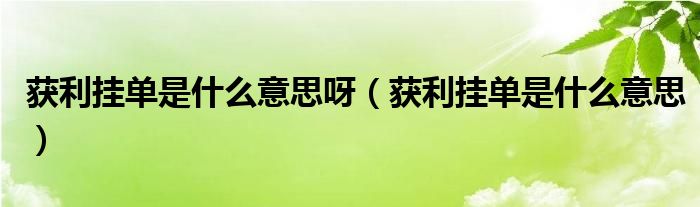 獲利掛單是什么意思呀（獲利掛單是什么意思）