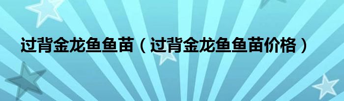 過背金龍魚魚苗（過背金龍魚魚苗價格）