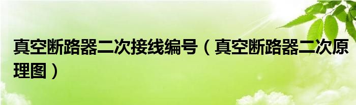 真空斷路器二次接線編號(hào)（真空斷路器二次原理圖）