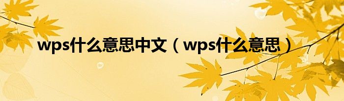 wps什么意思中文（wps什么意思）